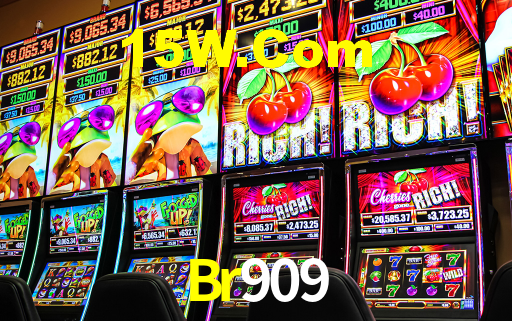 Premium Interface Br909